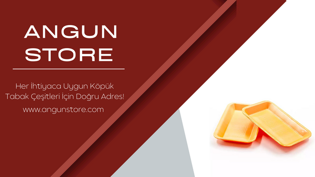 YEMEK YEMEYİ KOLAYLAŞTIRAN KÖPÜK TABAK